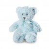Blue Teddy Bear